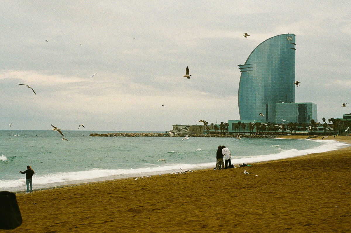 Des mouettes et des personnes de dos &agrave; la Barceloneta